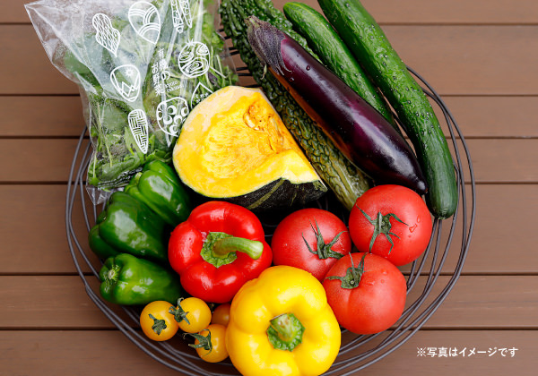 6月「京都産野菜とこだわり有機野菜を愉しむ夏のおすすめセット」