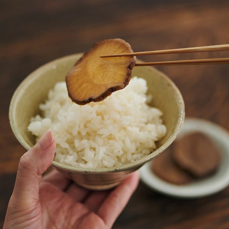 発酵季節だより